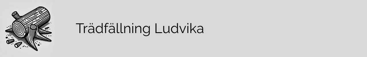 Trädfällning Ludvika