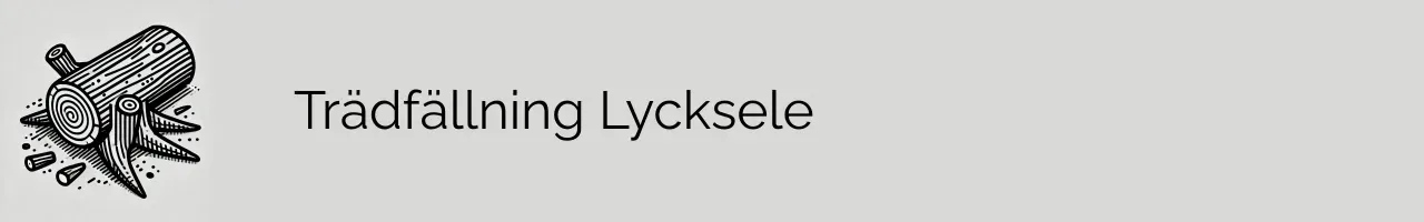 Trädfällning Lycksele