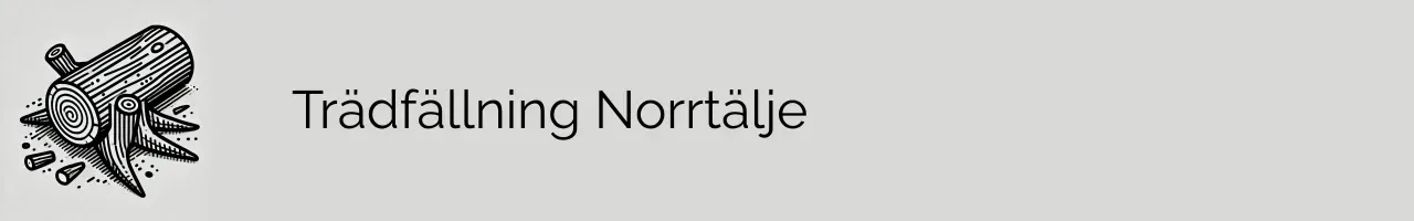 Trädfällning Norrtälje