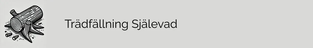 Trädfällning Själevad