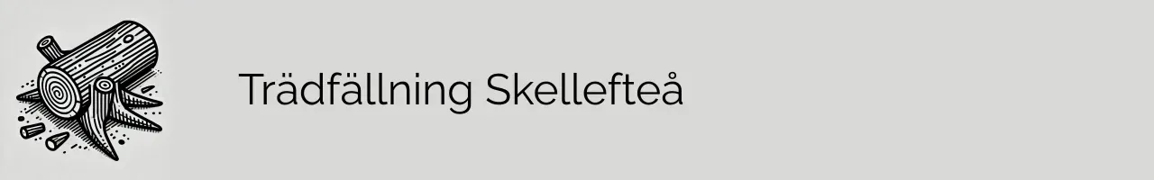 Trädfällning Skellefteå