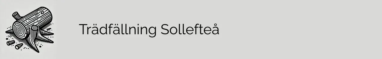 Trädfällning Sollefteå