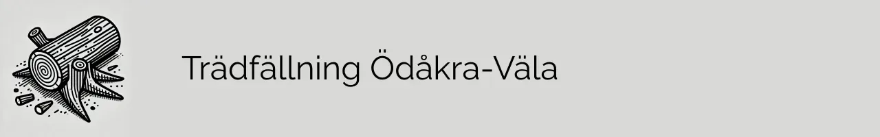 Trädfällning Ödåkra-Väla